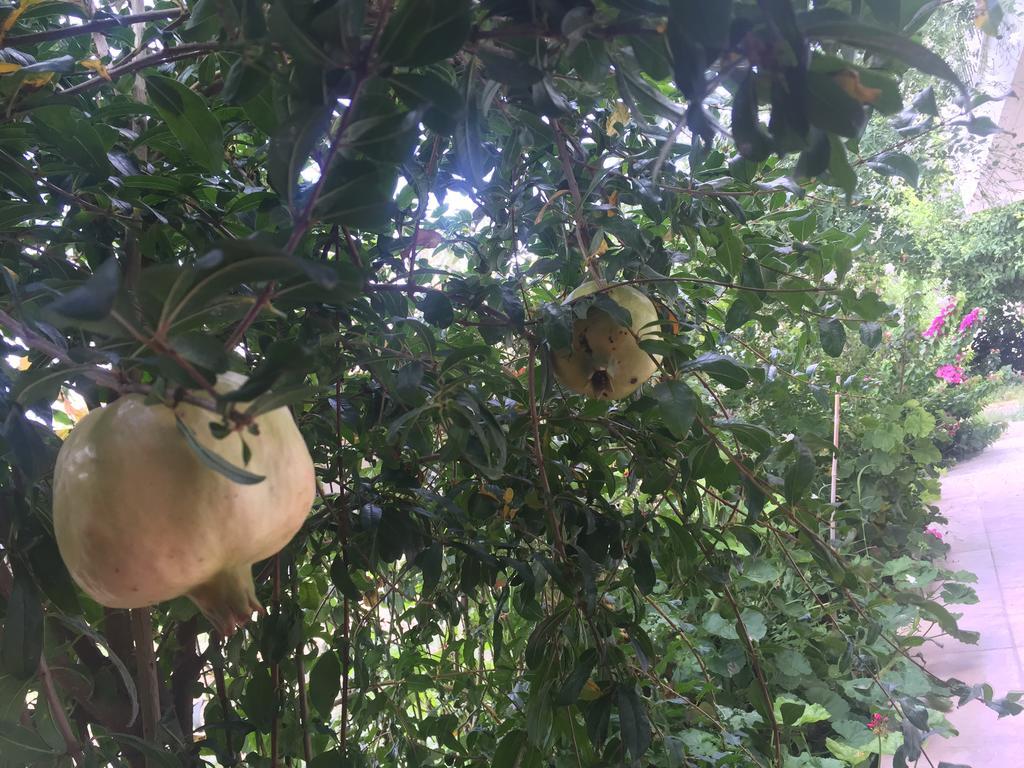 Best Location In Vrahati מראה חיצוני תמונה